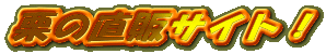 �߂�